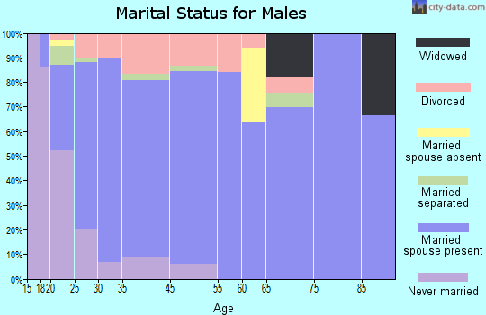 Plainview marital status for males