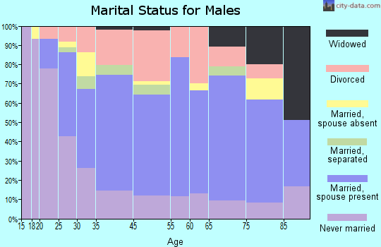 Pulaski marital status for males