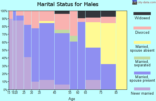 Red Boiling Springs marital status for males