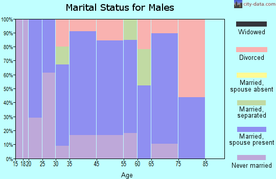 Roan Mountain marital status for males