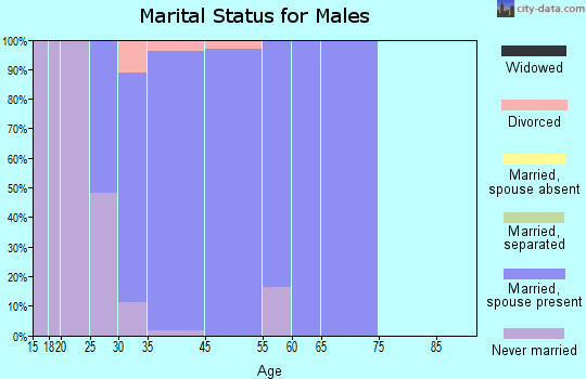 Rural Hill marital status for males