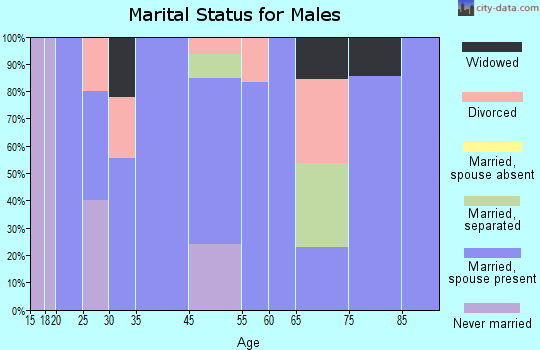 Saltillo marital status for males