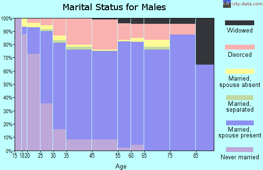 Smyrna marital status for males