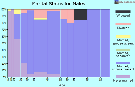 Spring Hill marital status for males