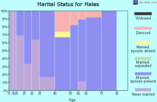 Stantonville marital status for males