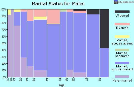 Surgoinsville marital status for males