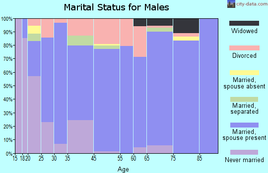 Tennessee Ridge marital status for males
