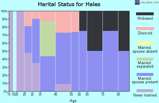 Vanleer marital status for males