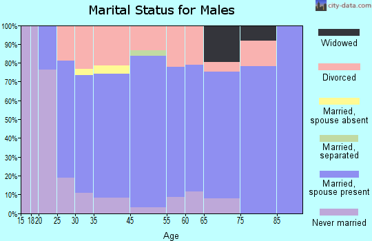 White Bluff marital status for males