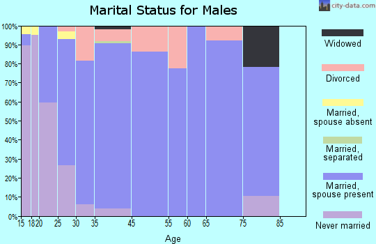White House marital status for males