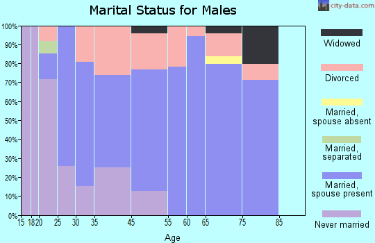 White Pine marital status for males