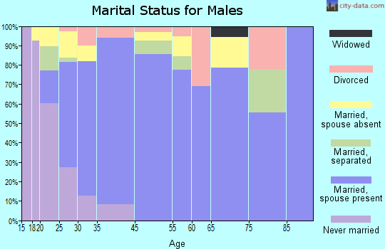 Alton North marital status for males