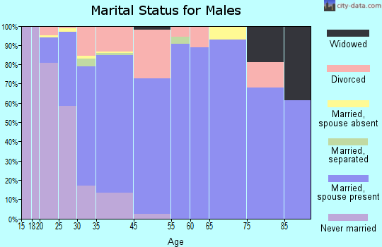 Anderson Mill marital status for males