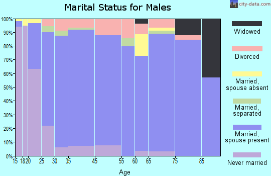 Andrews marital status for males