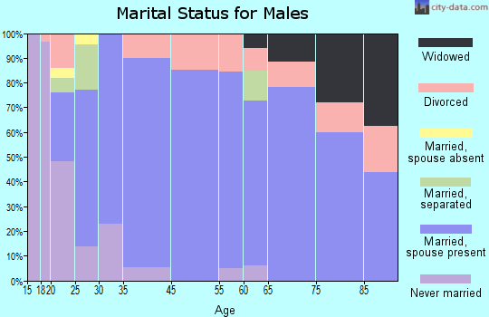 Archer City marital status for males