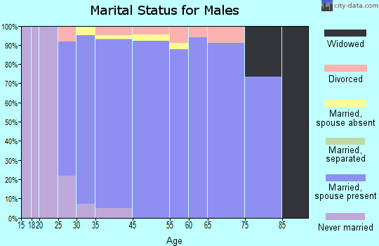 Argyle marital status for males