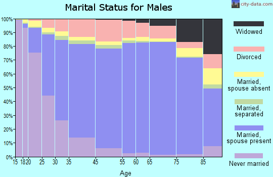 Arlington marital status for males