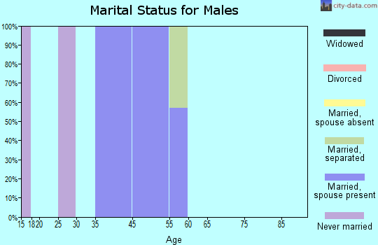 Arroyo Alto marital status for males