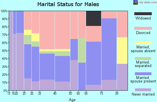 Balcones Heights marital status for males