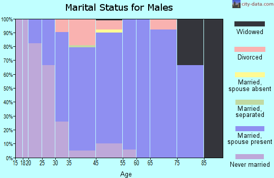 Bartonville marital status for males