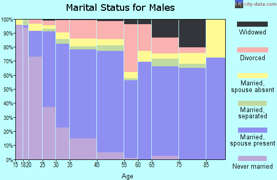 Bay City marital status for males