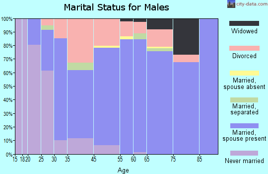 Bayou Vista marital status for males