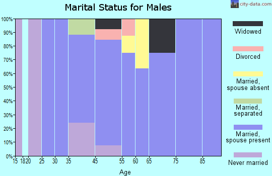 Bayview marital status for males