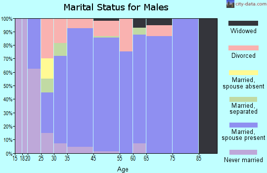 Beach City marital status for males