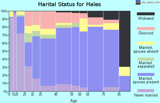 Beeville marital status for males