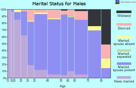 Bellaire marital status for males