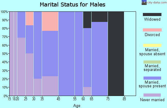 Bellevue marital status for males