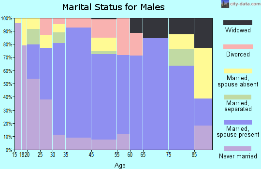 Bellville marital status for males