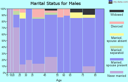 Big Sandy marital status for males