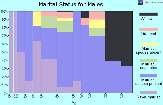 Big Wells marital status for males