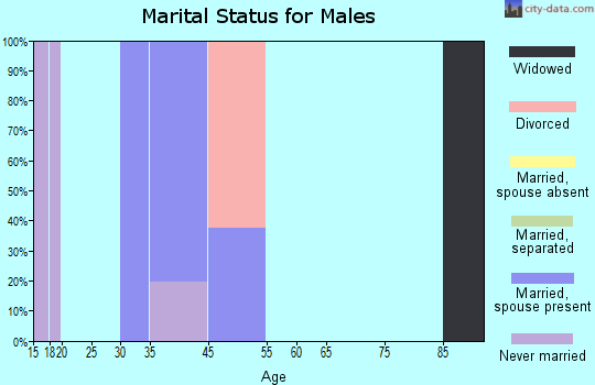 Bixby marital status for males