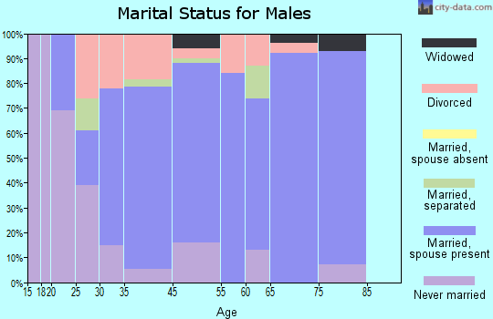 Blooming Grove marital status for males