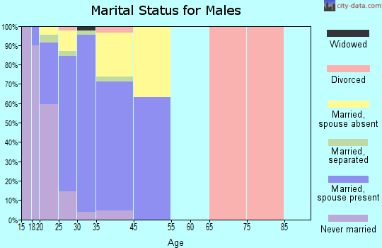 Lemoore Station marital status for males