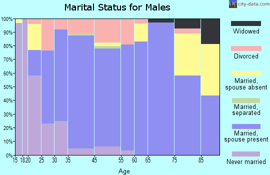 Boerne marital status for males