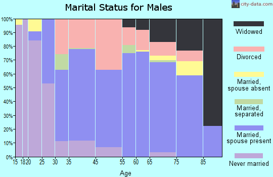 Bolivar Peninsula marital status for males