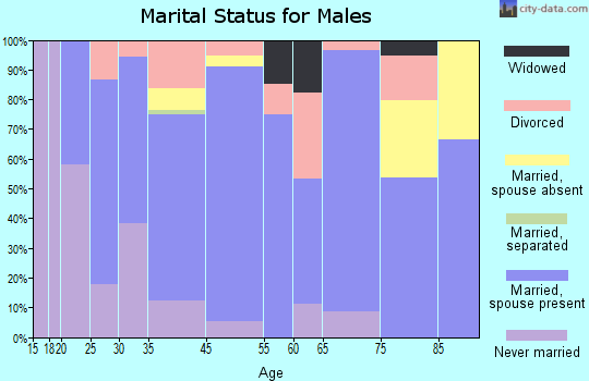 Brazoria marital status for males