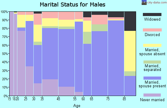 Brenham marital status for males