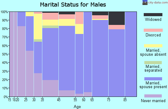 Brookside Village marital status for males