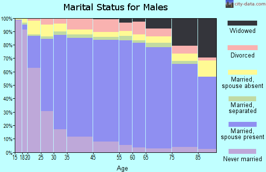 Brownsville marital status for males