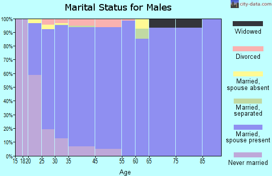 Brushy Creek marital status for males