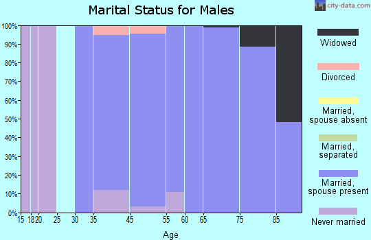 Bunker Hill Village marital status for males