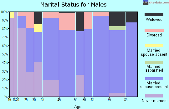 Lincoln Village marital status for males