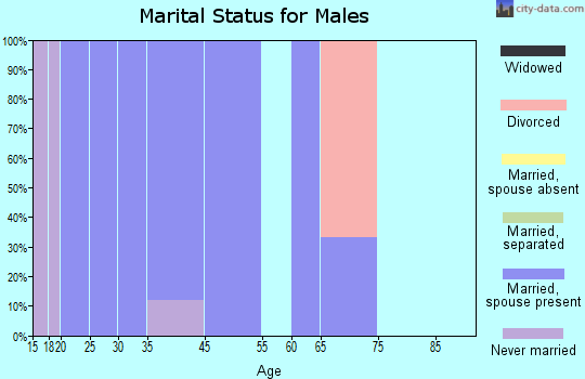 Carl's Corner marital status for males