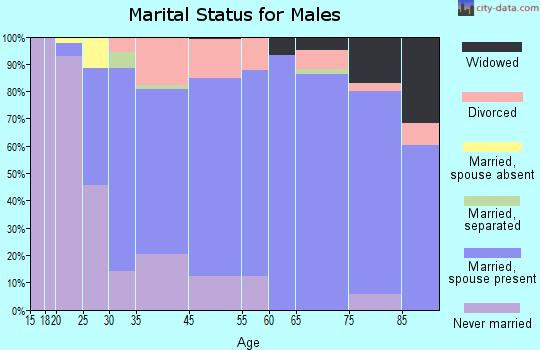 Castle Hills marital status for males