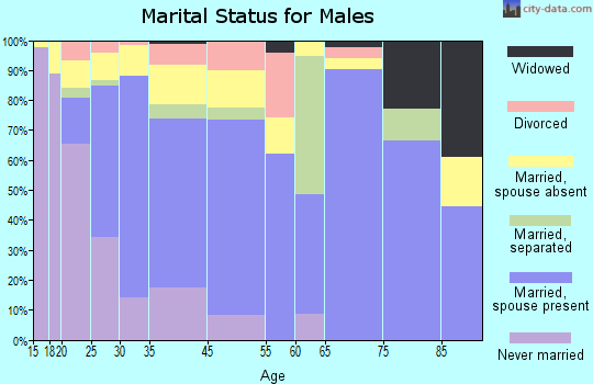 Lindsay marital status for males