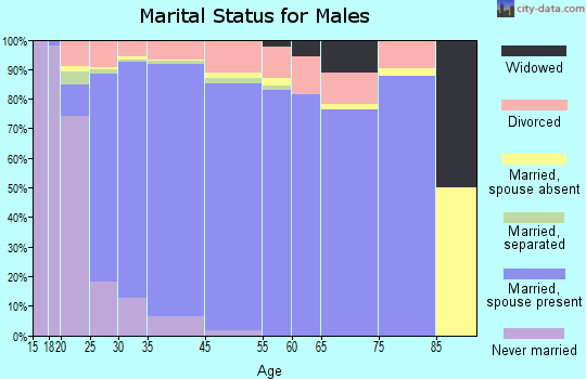 Cedar Park marital status for males